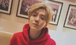 鹿晗爆料视频大全,揭秘明星幕后生活点滴